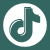 tiktok icon